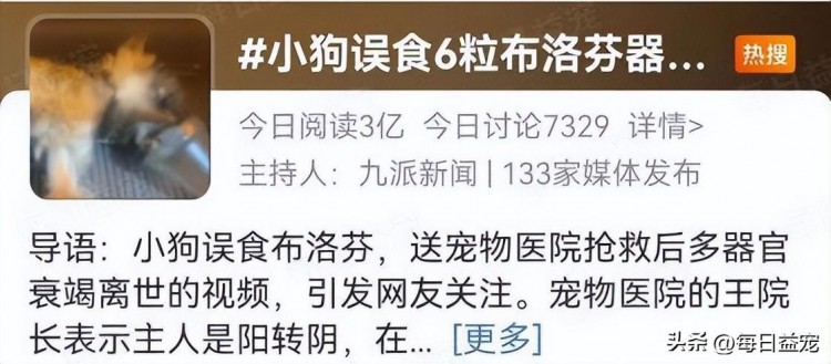 布洛芬是个好东西不仅救了我的命还害死了我的狗呜呜呜！